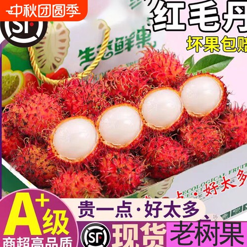 新鲜正宗越南红毛丹顺丰京东包邮