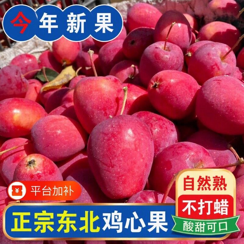 正宗东北鸡心果小苹果当季应季沙果新鲜孕妇水果海棠脆甜现摘大果
