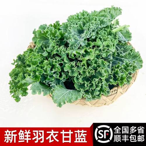 顺丰包邮新鲜西餐羽衣甘蓝沙拉蔬菜低脂健身轻食即食榨汁