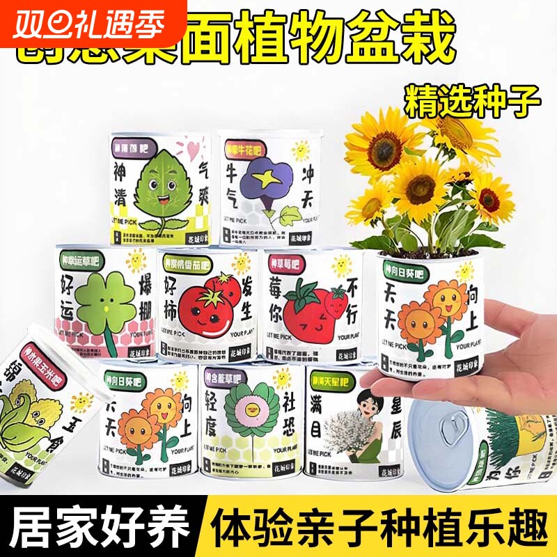 创意植物草头娃娃室内迷你桌面儿童种植情绪稳定小盆栽植物种罐头