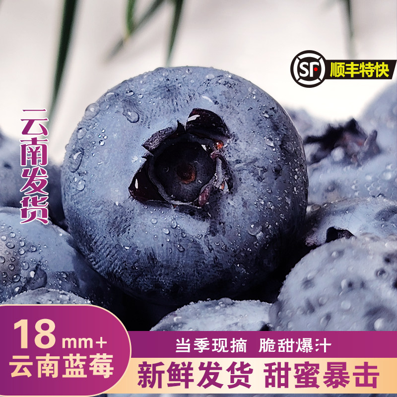 顺丰京东云南蓝莓鲜果新鲜水果当季整箱怡颗大果高山花香现摘甄选