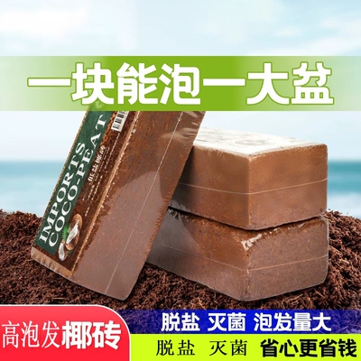 【全网热销推荐】椰砖营养土