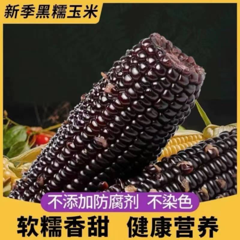 开源保丰黑糯玉米真空装新鲜甜糯玉米棒子加热非即食低脂粗粮