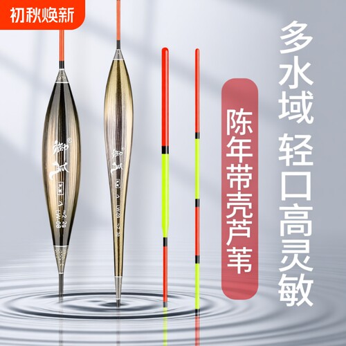 带壳芦苇鲫鲤混养加粗超醒目浮漂