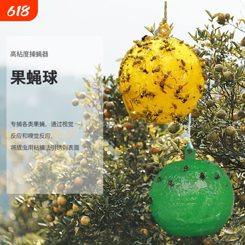 诱蝇粘蝇球粘虫球果蝇诱捕器实蝇防虫诱粘球捕捉室内昆虫灭虫室外