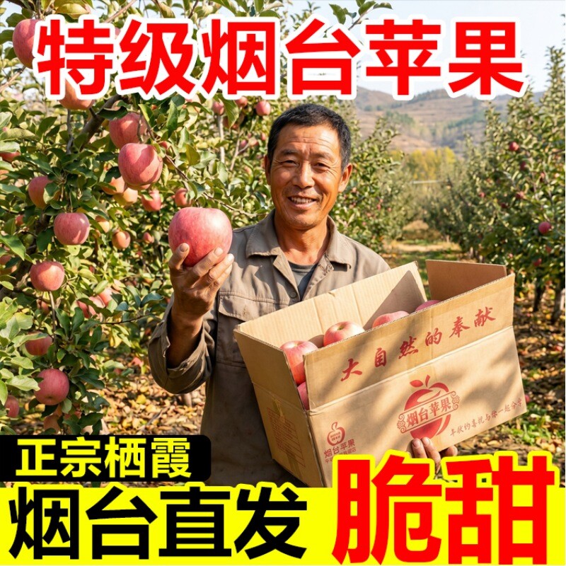 山东烟台红富士苹果新鲜水果栖霞一级冰糖心苹果整箱包邮当季脆甜