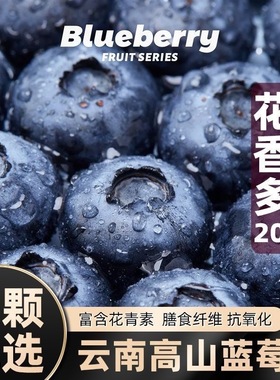 云南高山花香L25新鲜蓝莓鲜果怡当季新鲜现摘高山蓝莓特大果包邮