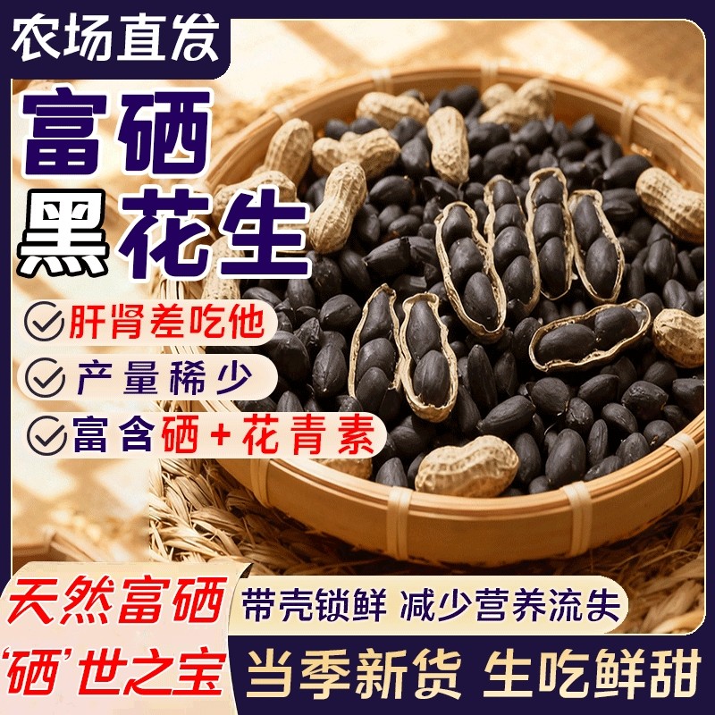 带壳黑花生颗粒饱满当季新货正宗黑皮花生新鲜解馋生花生整箱批发
