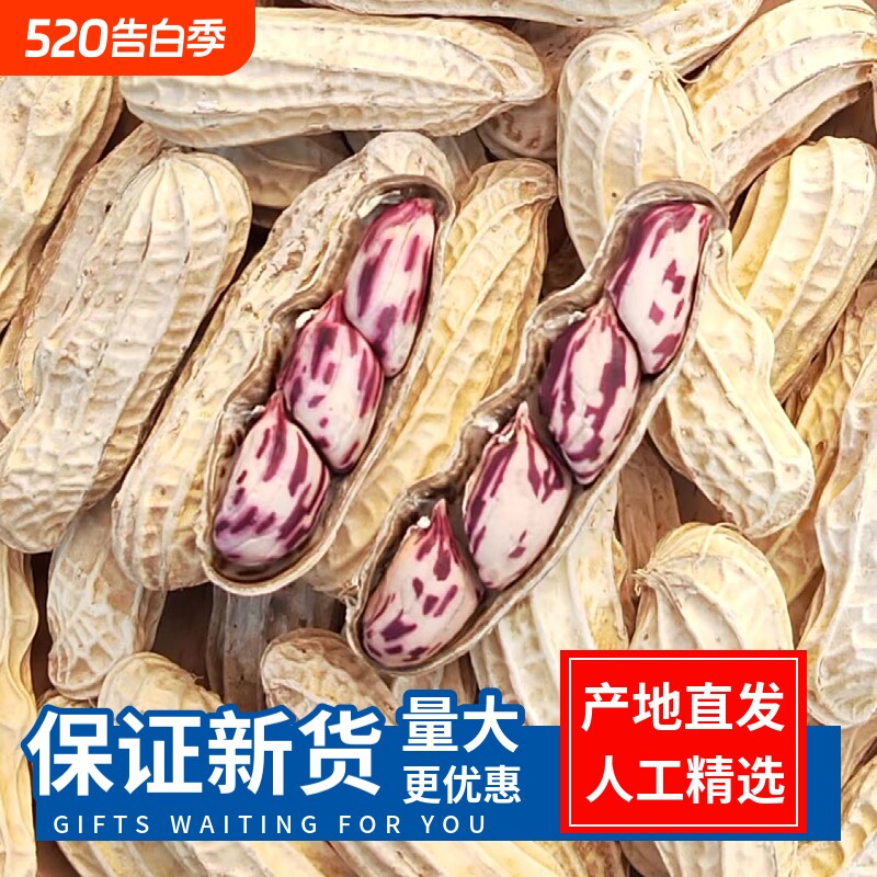 2025年新云南特产七彩花生旗舰店新鲜晒干带壳生熟花生米健康特色