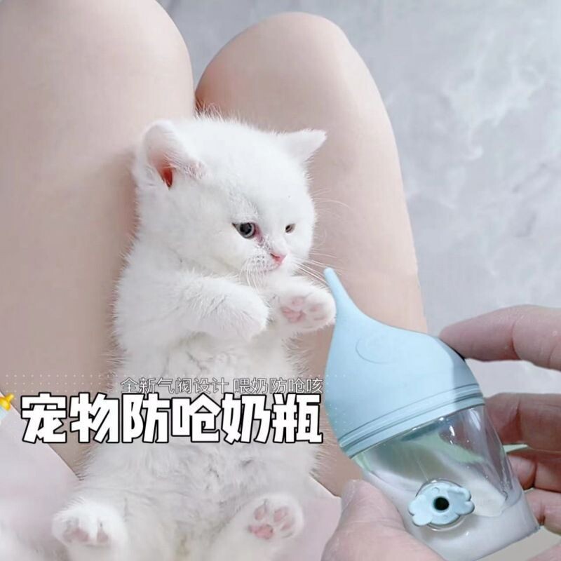 宠物防呛奶瓶幼猫幼犬气阀奶瓶小奶猫用小狗狗幼宠喂奶器奶嘴喝奶