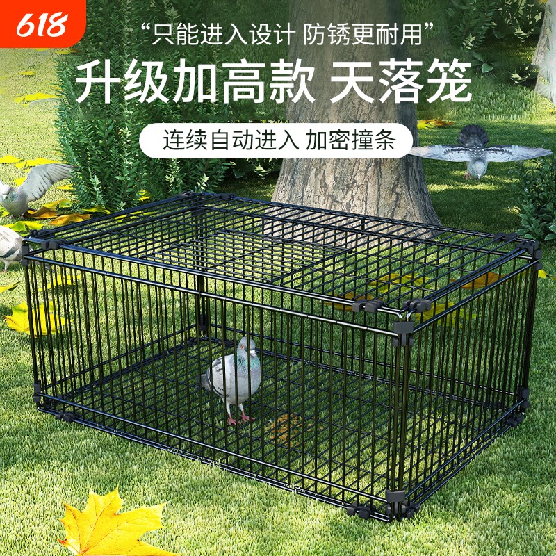天落笼加密只进不出鸽子笼撞门笼活络门自动回收鸽子神器室外鸽笼
