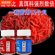 仿生鱼饵料假饵红虫蚯蚓路亚软饵鲫鱼鲤草鱼翘嘴野钓通杀仿真腥味