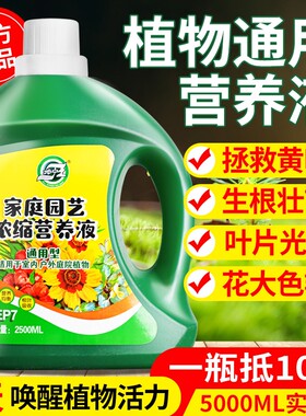 【园艺师推荐】植物营养液卉养花