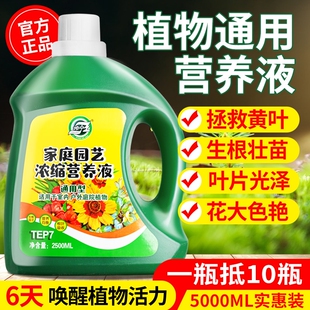 植物营养液绿植通用型花卉养花花肥发财树富贵竹绿萝水培盆栽肥料