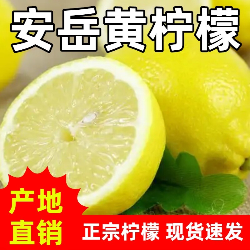 四川安岳柠檬黄柠檬新鲜水果当季整箱奶茶店切片榨汁泡水腌制酸汁
