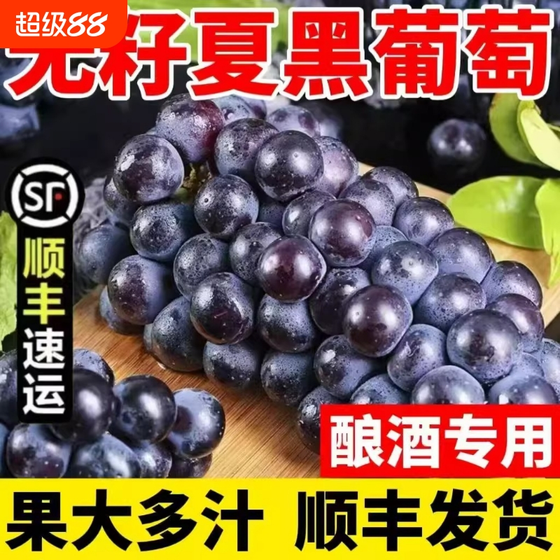 顺丰包邮新鲜无籽夏黑葡萄新鲜黑加仑现摘当季水果非巨峰葡萄