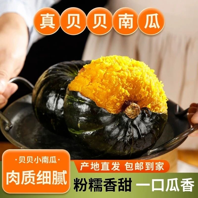 贝贝南瓜正宗板栗味小南瓜粉糯香甜营养健康早餐新鲜蔬果宝宝辅食