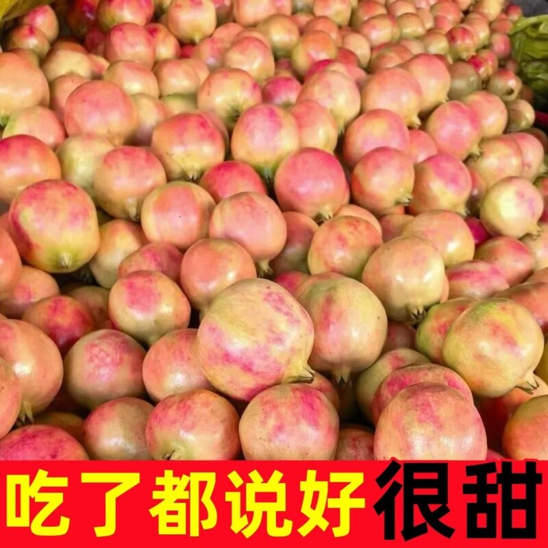 【地标认证】会里突尼斯红甜软籽石榴新鲜现摘现发当季孕妇水果 斤会实拍商品图