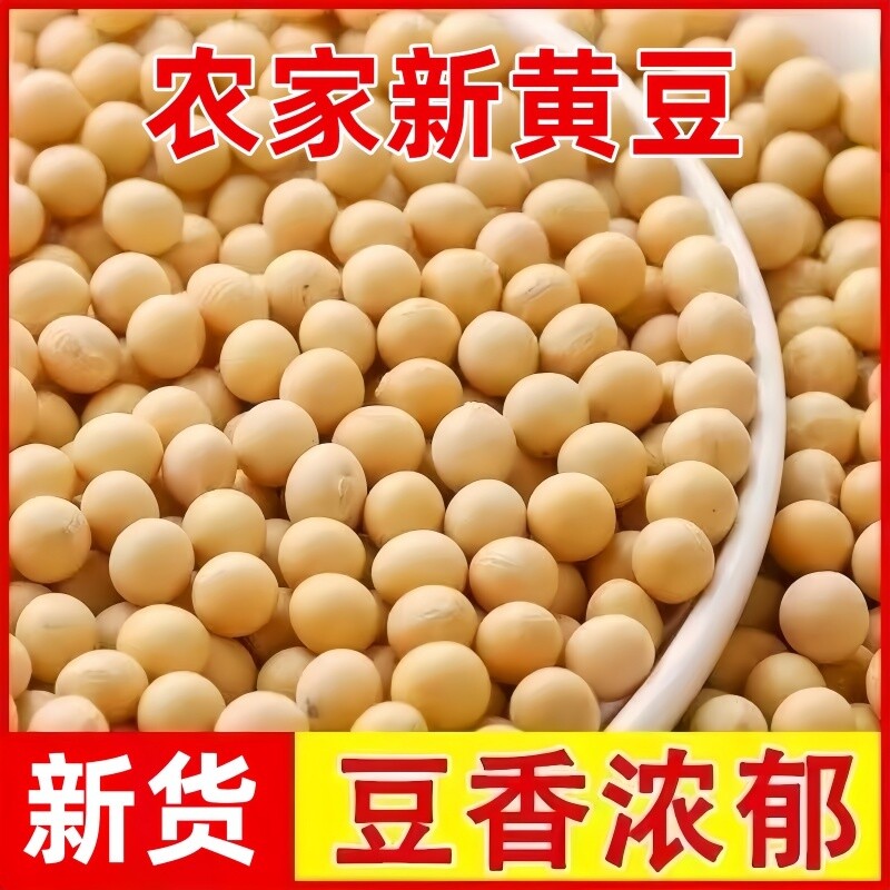 农家黄豆大豆新货自种批发干货腐竹打豆浆专用做豆腐优质饱满