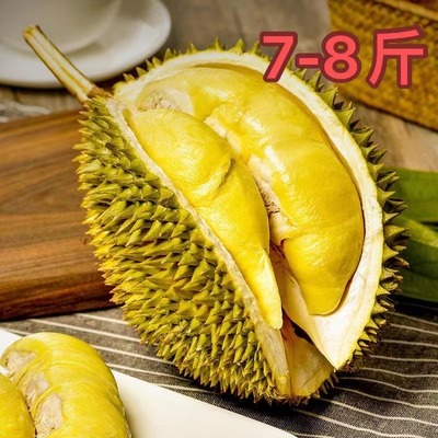 辉辉榴莲直发泰国老树火山金枕7-8斤 核小肉多干苞香甜软糯勿生切