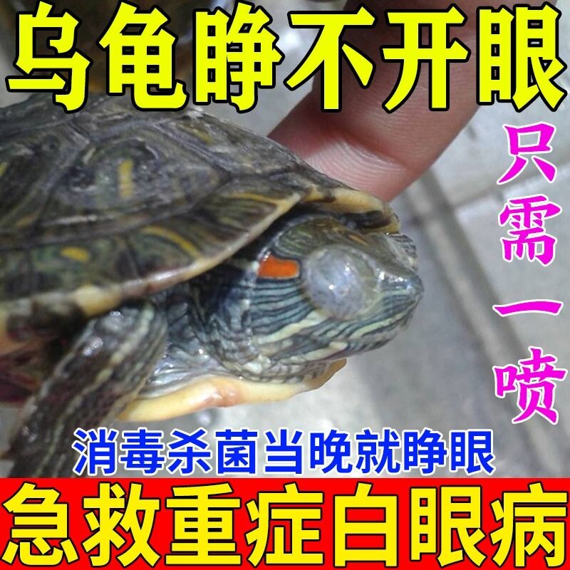 乌龟白眼病特效专用非药治疗巴西烂甲草龟眼睛发炎红肿蒙眼药水闭