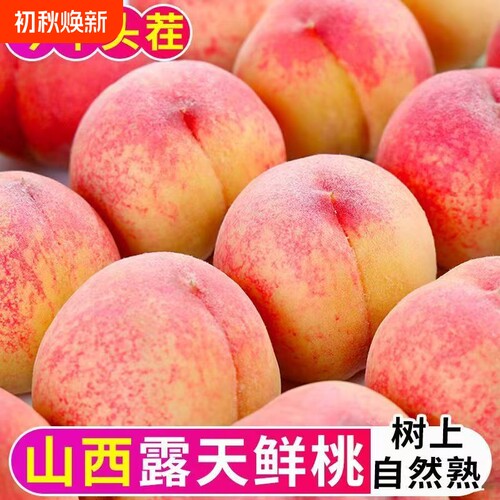 水蜜桃早熟脆甜现摘果园直发淘工厂生鲜毛桃多汁整箱现货速发自提