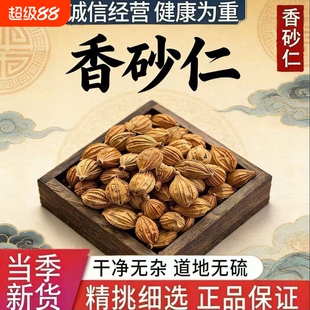香砂仁香料四川川砂仁500g商用批发香辛料香砂果草果粉花椒无硫