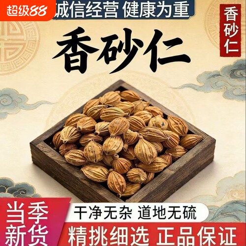 香砂仁四川川砂仁500g商用香料