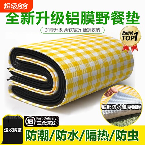 野餐垫防潮垫加厚专用户外露营便携帐篷地垫坐垫防水折叠地上睡觉