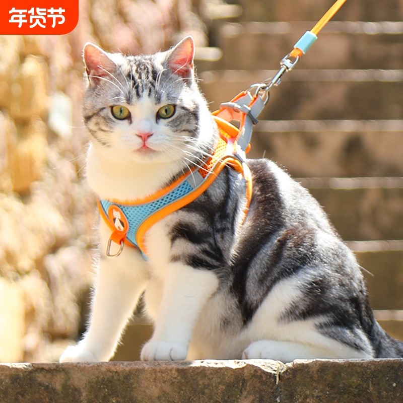 猫咪牵引绳防挣脱专用猫绳小型犬胸背带绳子溜猫绳宠物牵狗绳遛狗,宠物/宠物食品及用品,猫牵引绳,淘宝优惠券,粉丝福利购,淘宝优惠卷