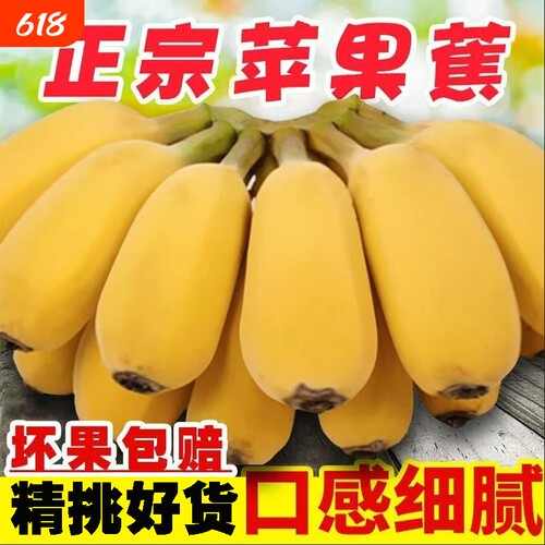 香蕉正宗广西苹果蕉新鲜当季水果芭蕉皇帝蕉自然熟孕妇水果大果