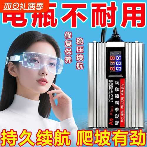 进口新款高效电瓶修复器正品