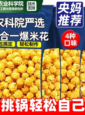 三合一爆米花球形的玉米粒奶油焦糖老式电影院爆裂套装专用玉米粒