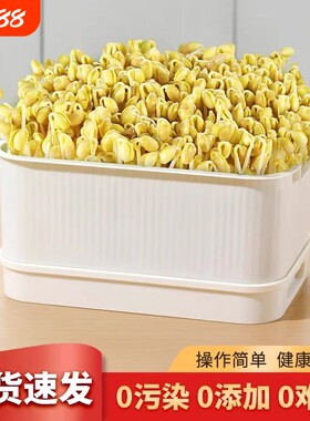 豆芽发芽盆神器家用水培蔬菜无土栽培芽苗菜育苗盘豌豆绿豆芽菜