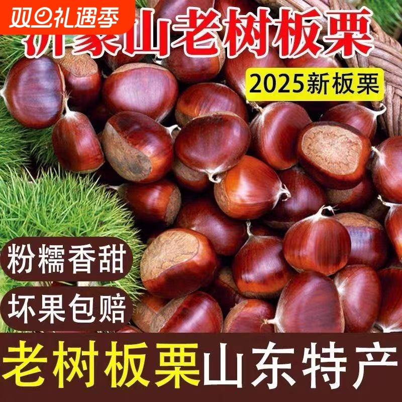 25年新鲜板栗沂蒙山老树栗子即食生栗子带壳野生油自然成熟新货