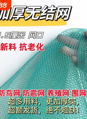 防鸟网果园防鸟用网|千人加购