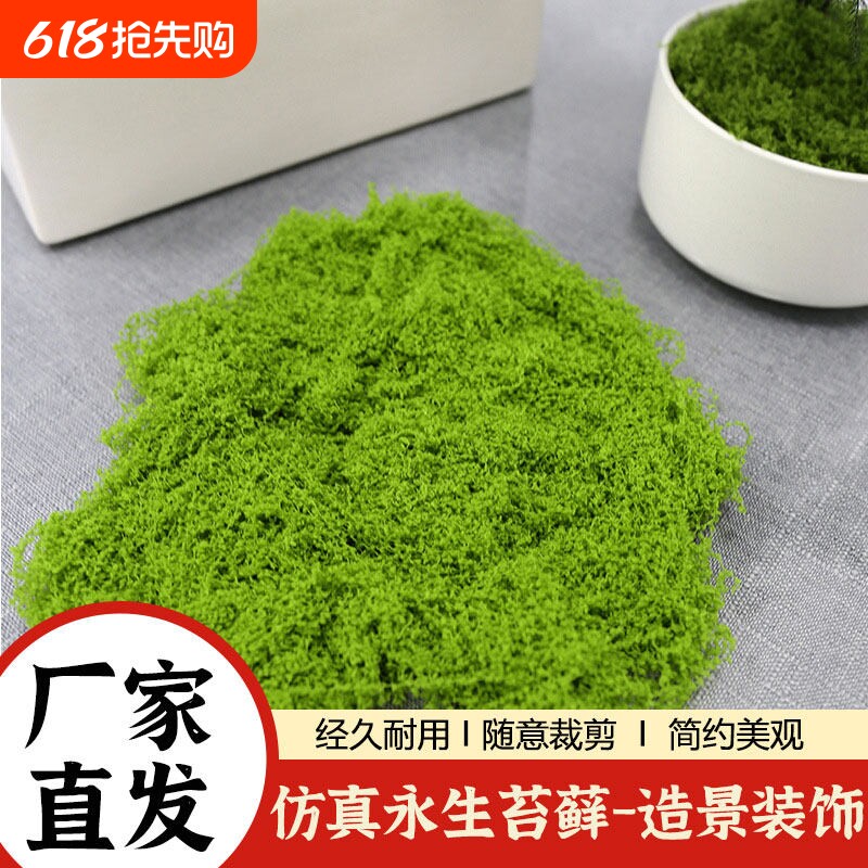 仿真苔藓草皮造景绿植微景观桌面盆栽装饰摆件仿生苔藓丝状假青苔