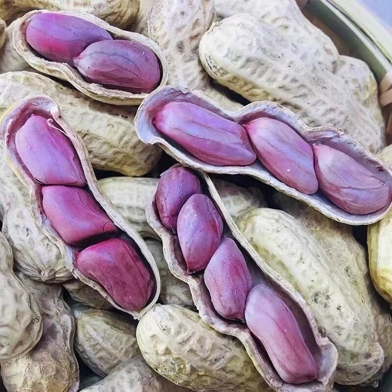 怪味多正宗农家新鲜龙岩湿烤红衣花生咸香味酥脆美味特产零食