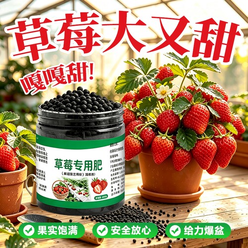 草莓专用肥均衡肥促花芽膨大果实