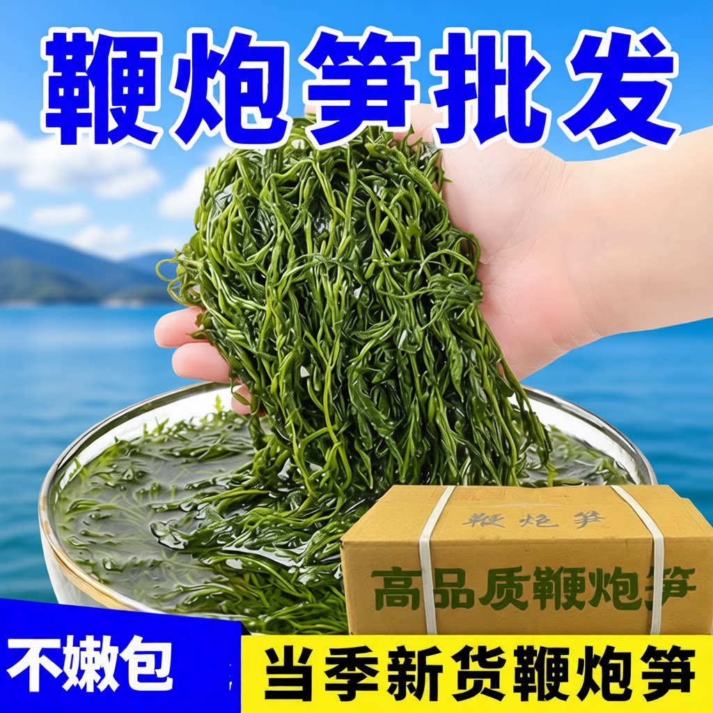 鞭炮笋炮马尾藻火锅商用批发海草海带凉拌凉菜新鲜海藻整箱麻辣烫