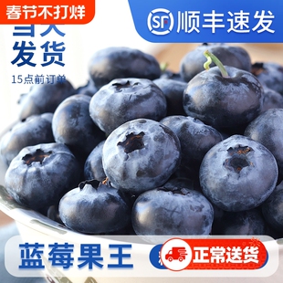 正宗蓝莓新鲜水果当季蓝梅鲜果现摘高山怡颗孕妇大果整箱顺丰包邮