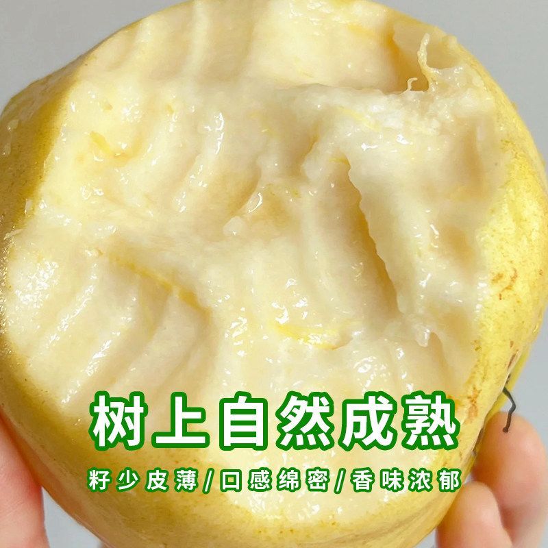 广东正宗奶油芭乐白心冰淇淋口感新鲜香甜软糯鲜果现摘软心番石榴