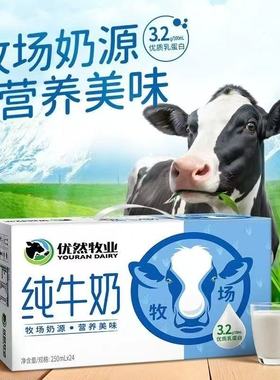 优然纯牛奶250ml*24盒早餐伴侣纯牛奶WR