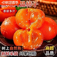 正宗山西火晶柿子24颗