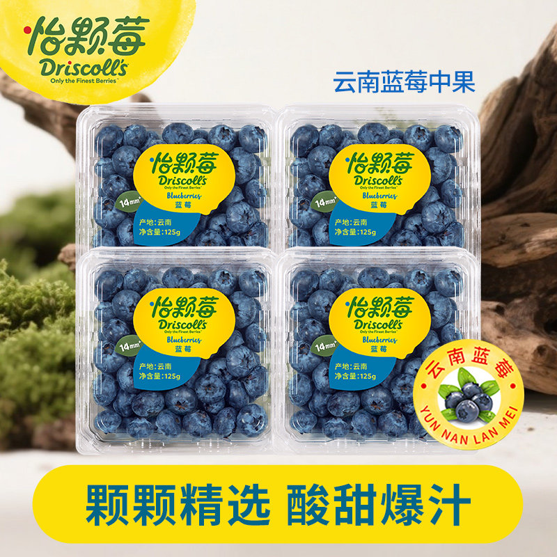 怡颗莓云南蓝莓中大果应季新鲜水果酸甜爆汁125g/盒顺丰可食用