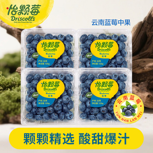 怡颗莓云南蓝莓中大果应季新鲜水果酸甜爆汁125g/盒顺丰可食用