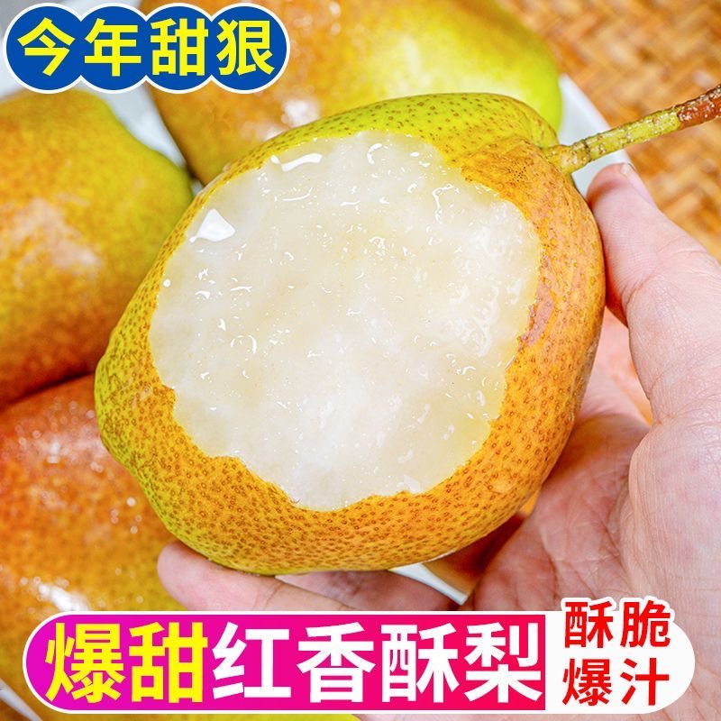 香梨红香酥梨9斤装润喉脆甜多汁