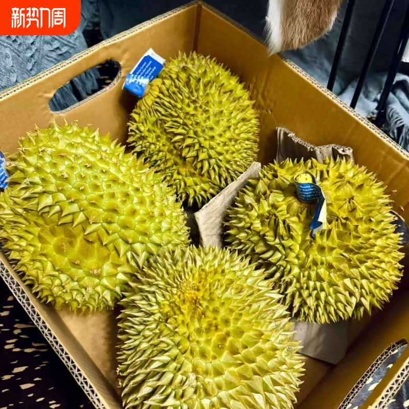 顺丰泰国金枕榴莲鲜果一整个自然生长成熟包邮到家果肉