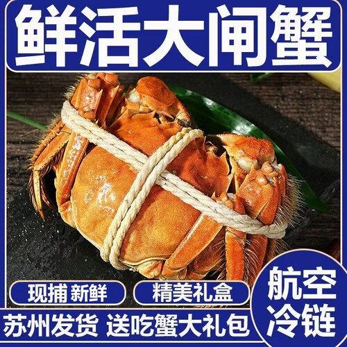 【活蟹】现货鲜活大闸蟹公母螃蟹生鲜河蟹海鲜水产礼盒装含绳