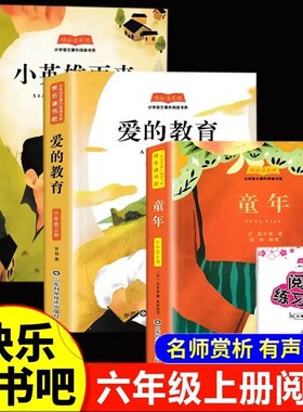 六年级上册必读的课外书套装童年爱的教育小英雄雨来伴读全套3册赠送阅读手册6下快乐读书吧语文教材暑假故事书目成就聪明科学先生